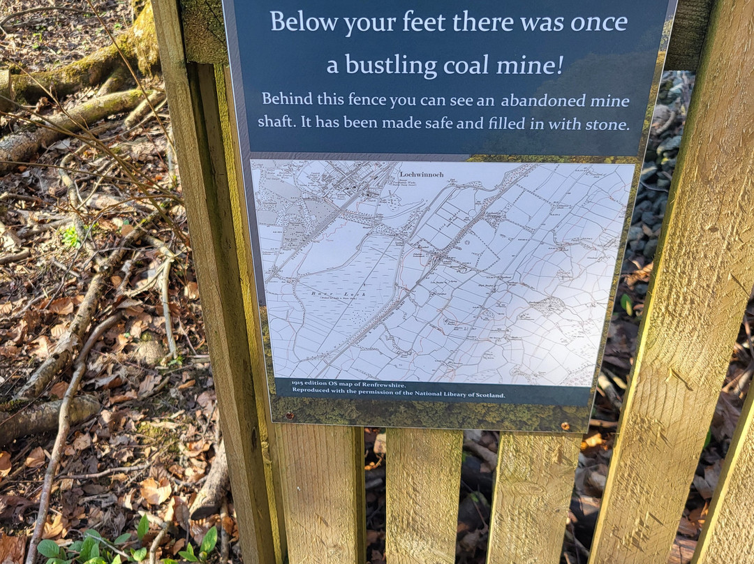 RSPB Lochwinnoch Nature Reserve景点图片