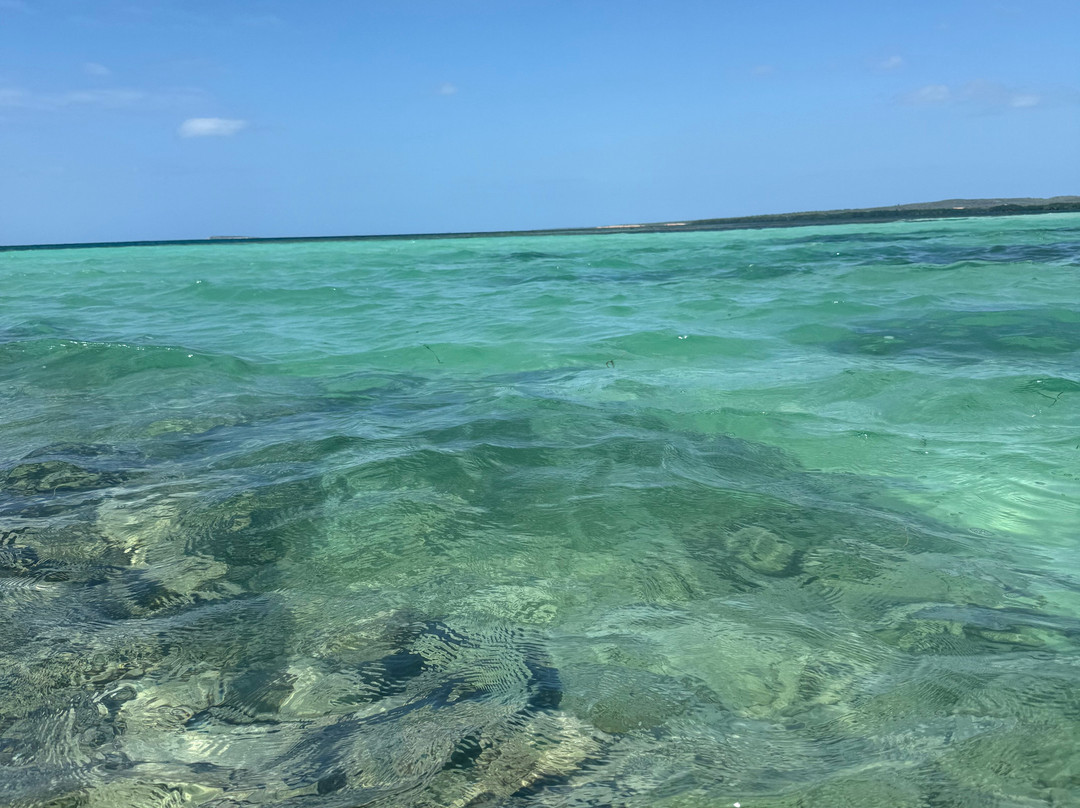 Aleli Tours - Day Tours-La Parguera必去景点