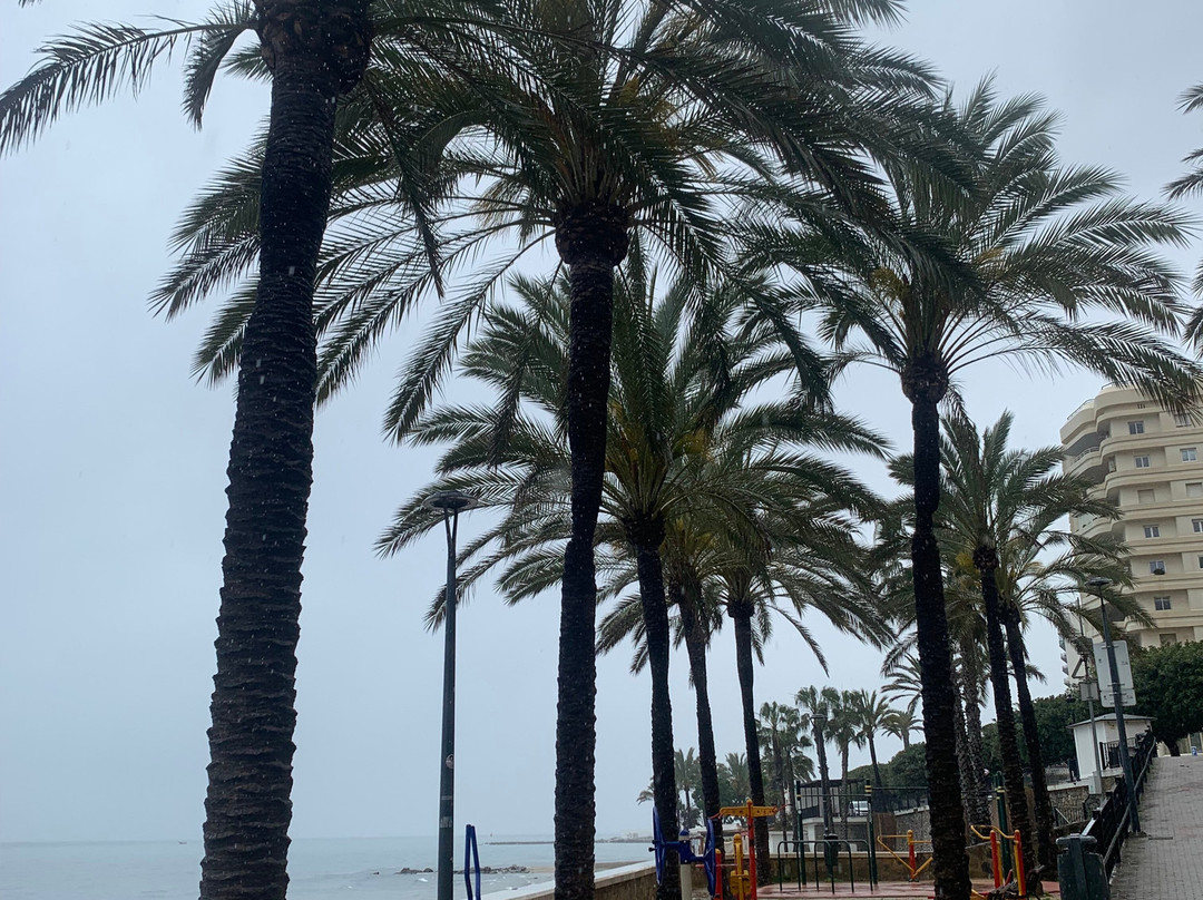 Paseo Alfonso Canas Nogueras-马贝拉必去景点