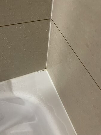 多伦多北约克贝斯特韦斯特优质套房酒店主图