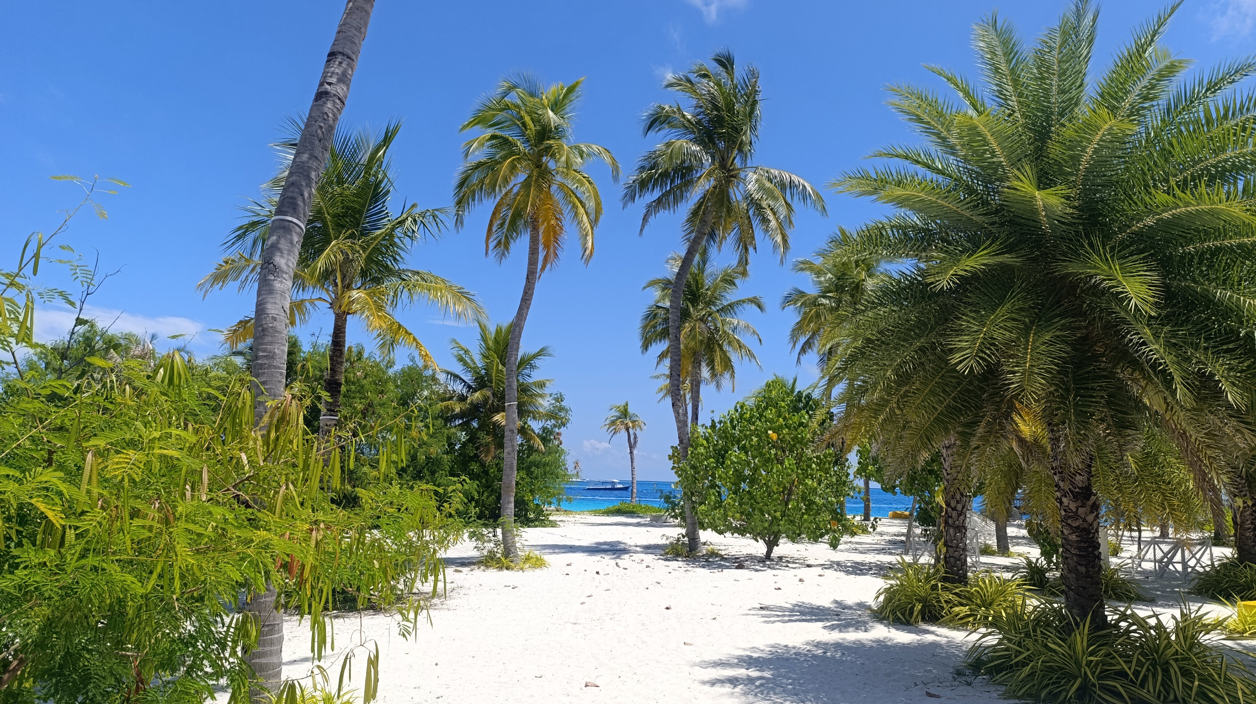 Oaga Art Resort Maldives-浴室