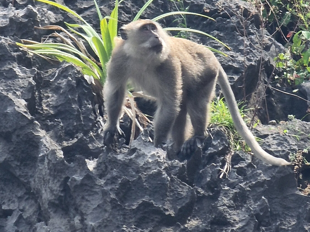Koh Mak Divers-玛岛必去景点