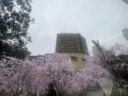 苏州龙湖狮山天街智选假日酒店主图