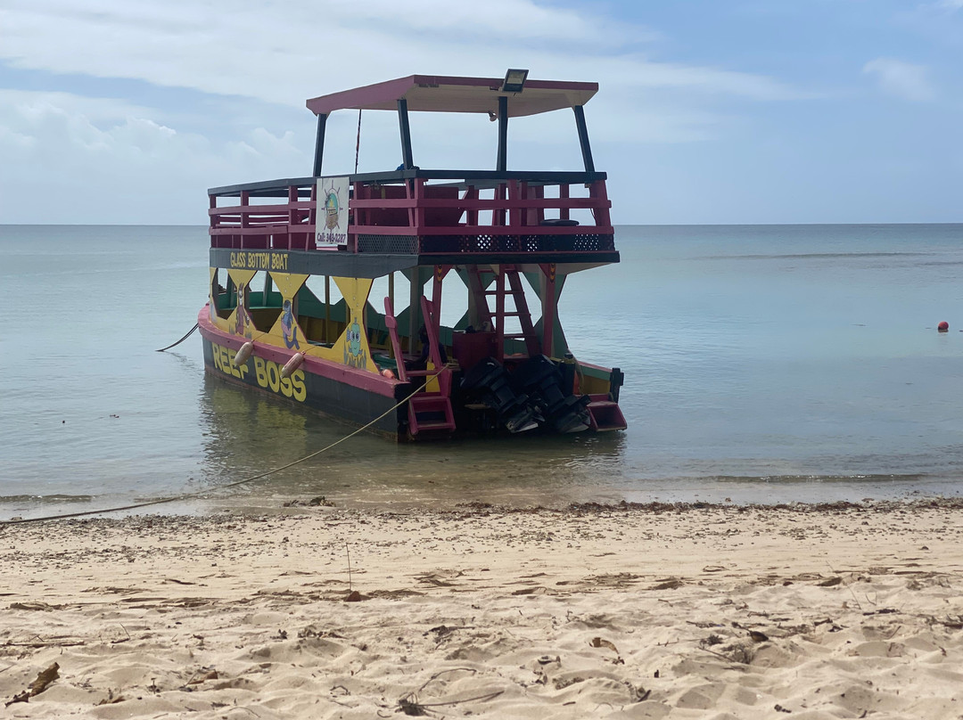 Buccoo Reef-多巴哥必去景点