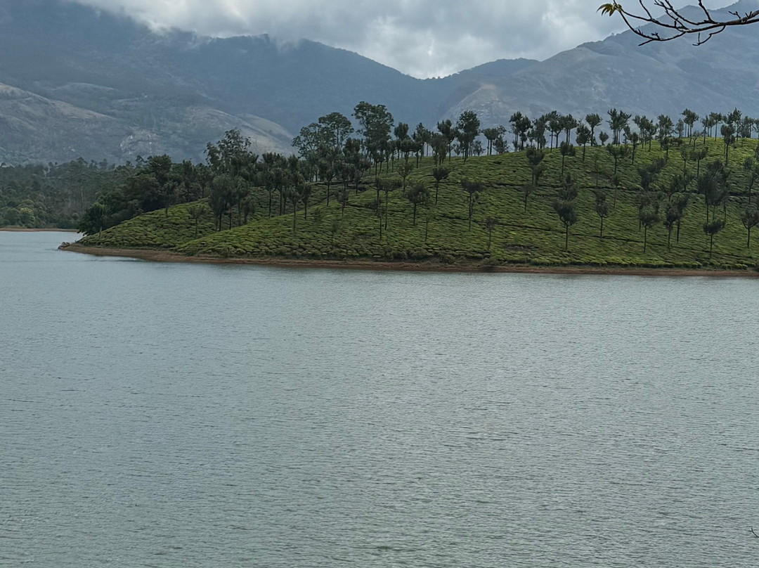 Kerala Taxis景点图片