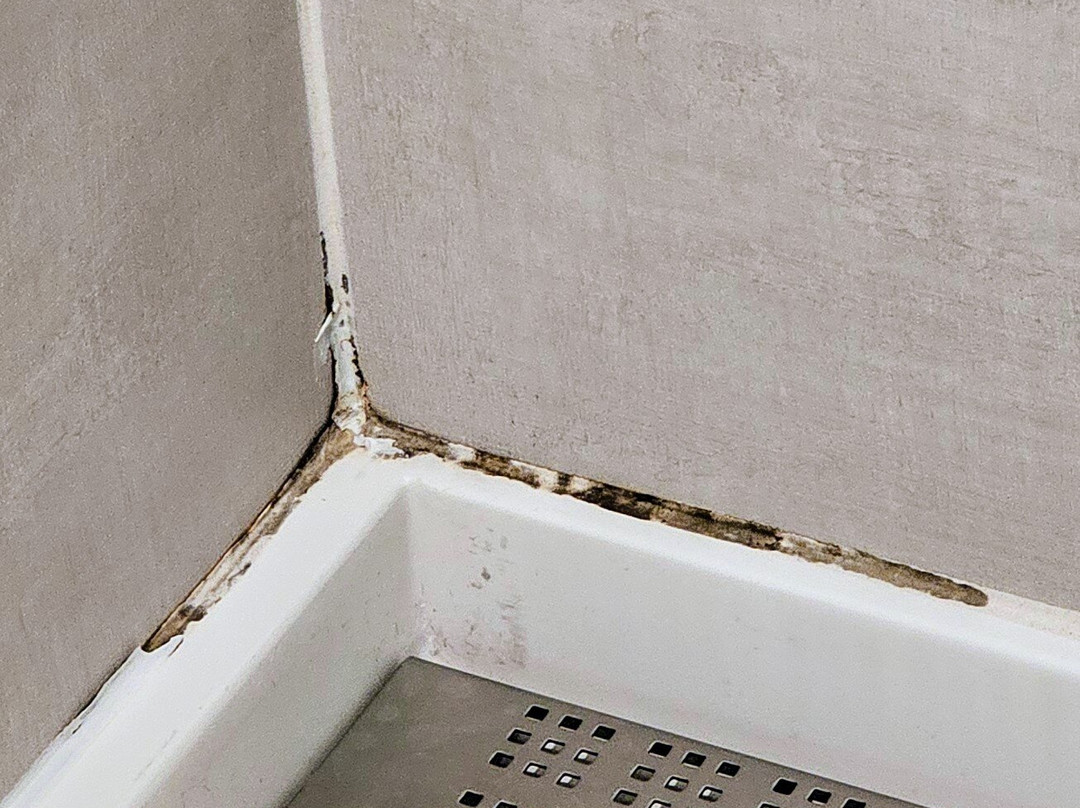 Embassy Suites by Hilton South Jordan Salt Lake City主图