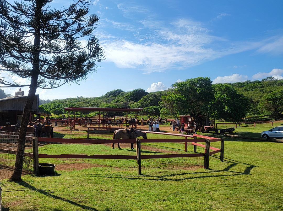 枪托牧场-拉叶必去景点