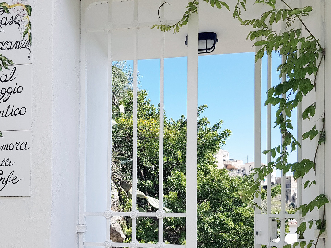 Al Poggio Antico主图