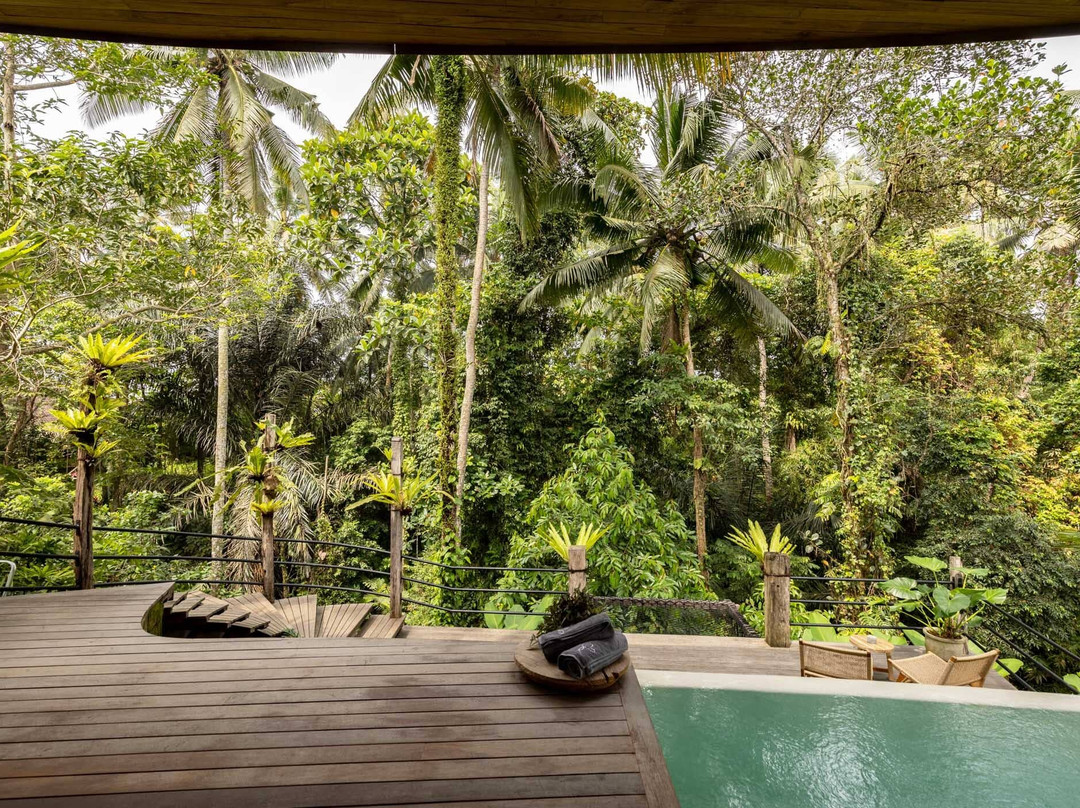 Casa Pohon Ubud主图