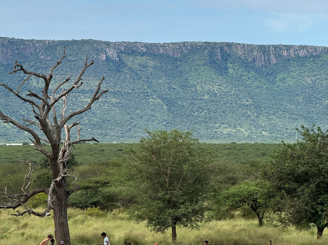 Tandweni Villa主图