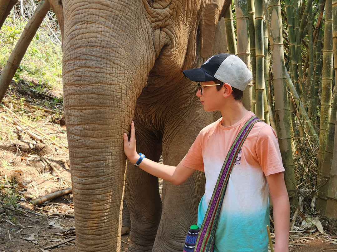 Elephant Steps Chiang Rai-清莱必去景点