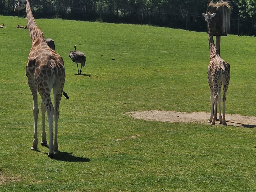 Natur'zoo de Mervent-Mervent必去景点
