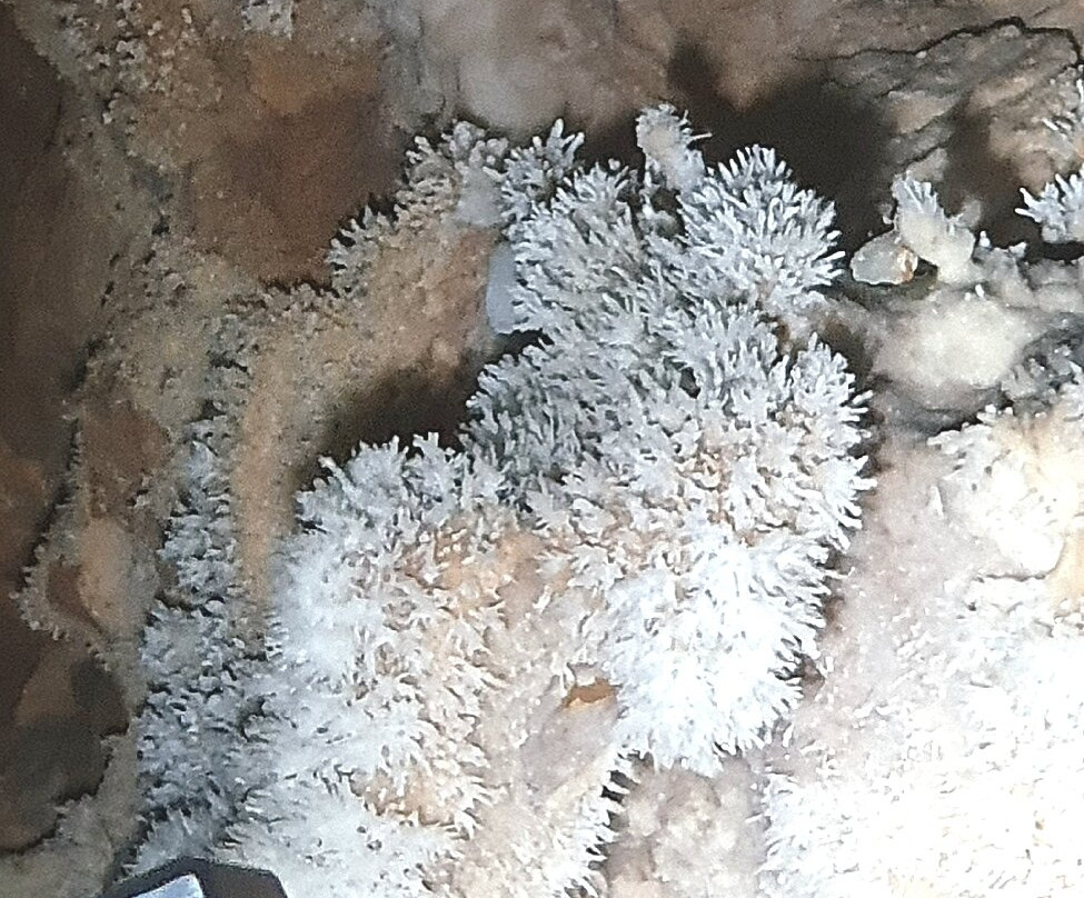 Grotte de Clamouse景点图片