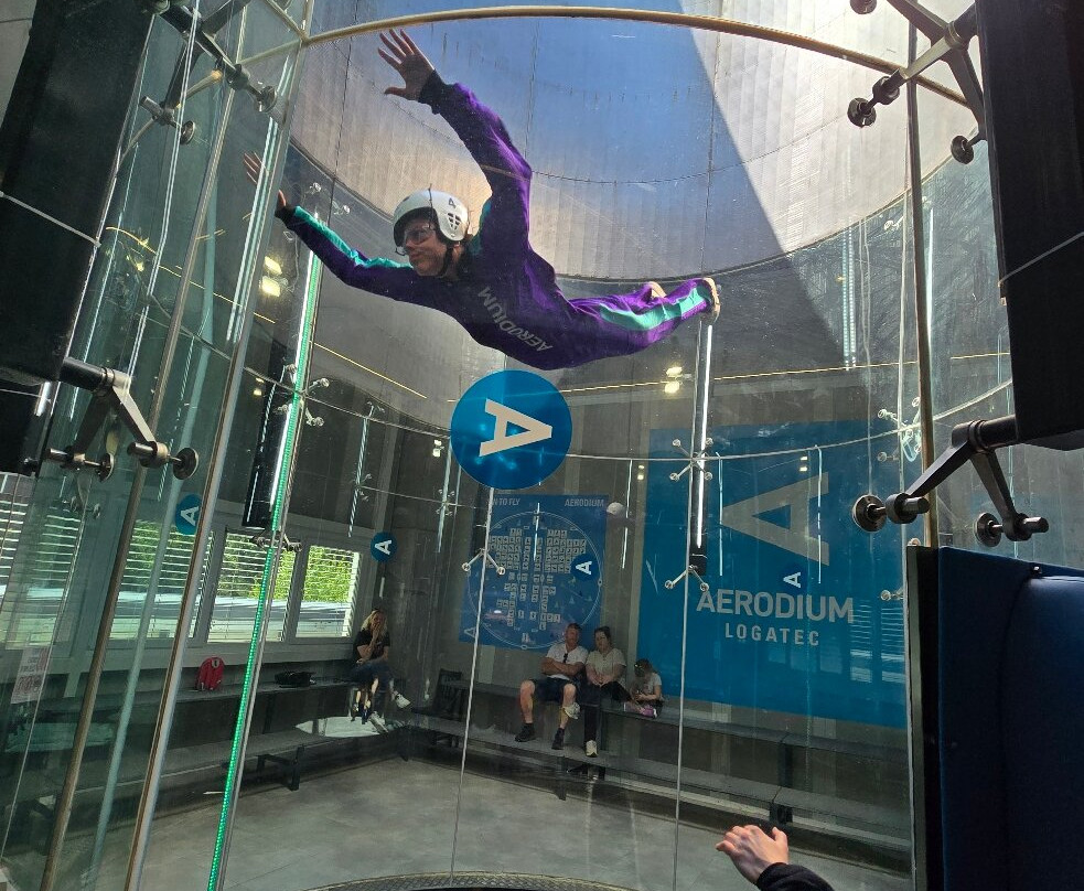Aerodium Logatec-Logatec必去景点