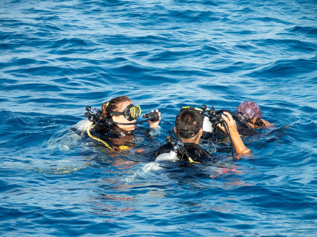 Mahi Mahi Dive & Watersports-Dhiffushi Island必去景点