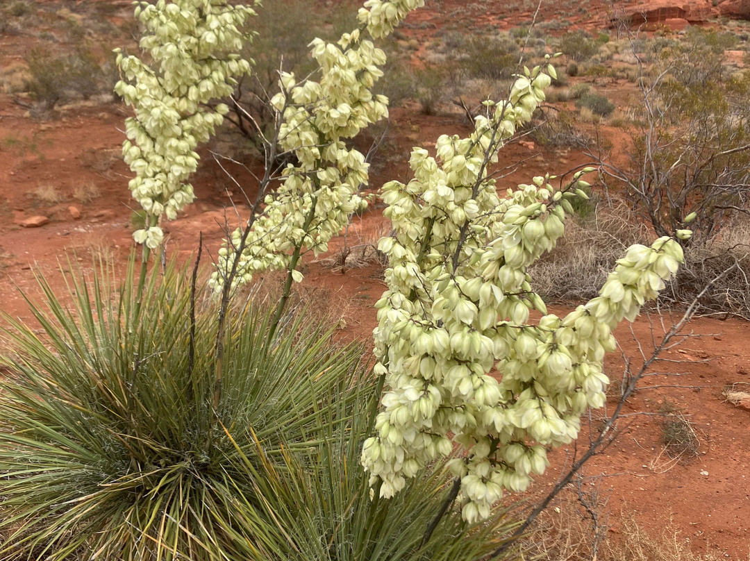 Red Reef Trail-Leeds必去景点