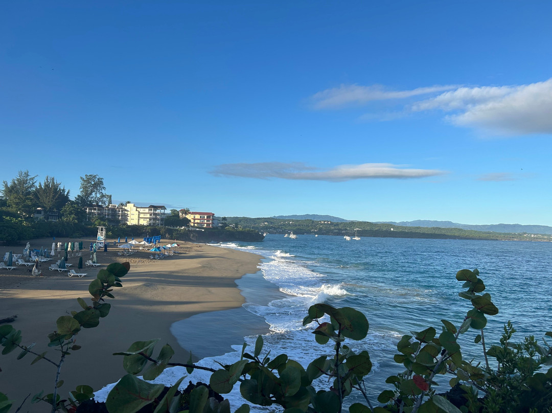 Playa Alicia-苏莎亚必去景点