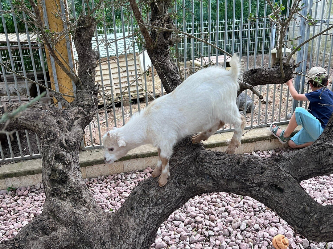 Les Animaux De Fairytale-Cap-d'Agde必去景点