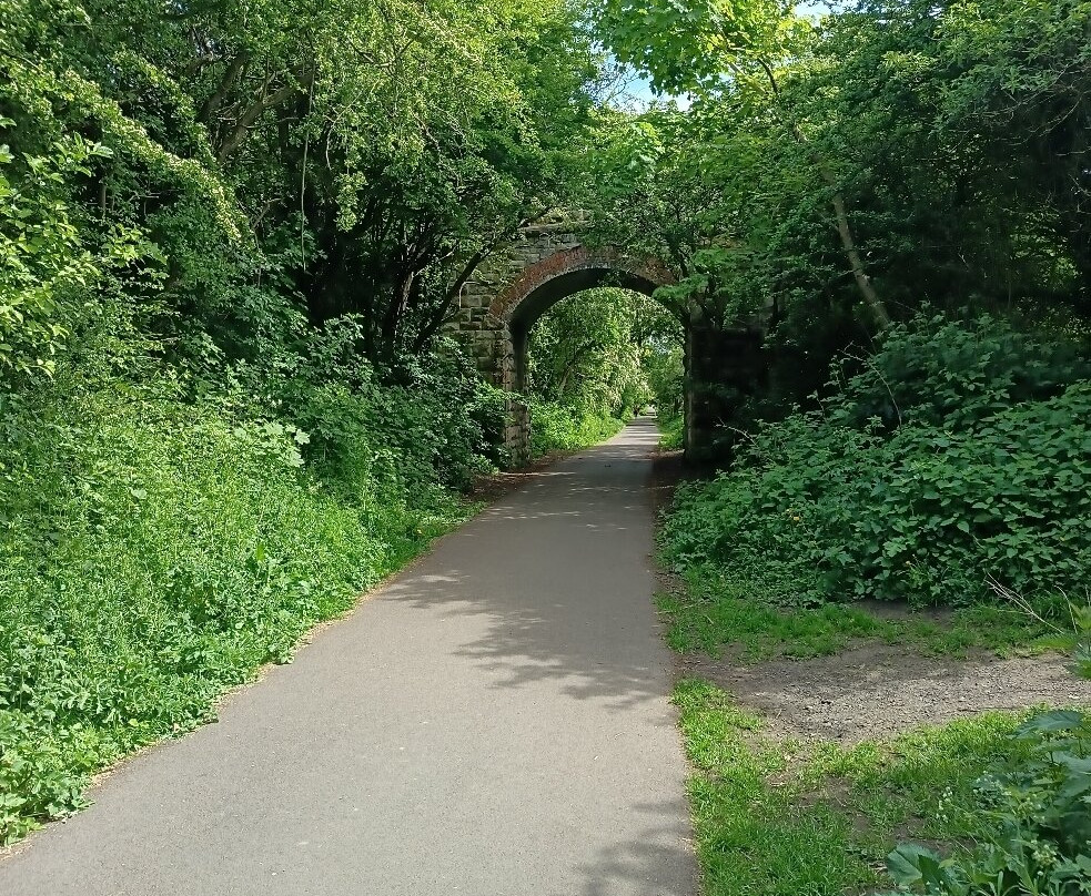 Scarborough to Whitby Rail Trail-斯卡伯勒必去景点