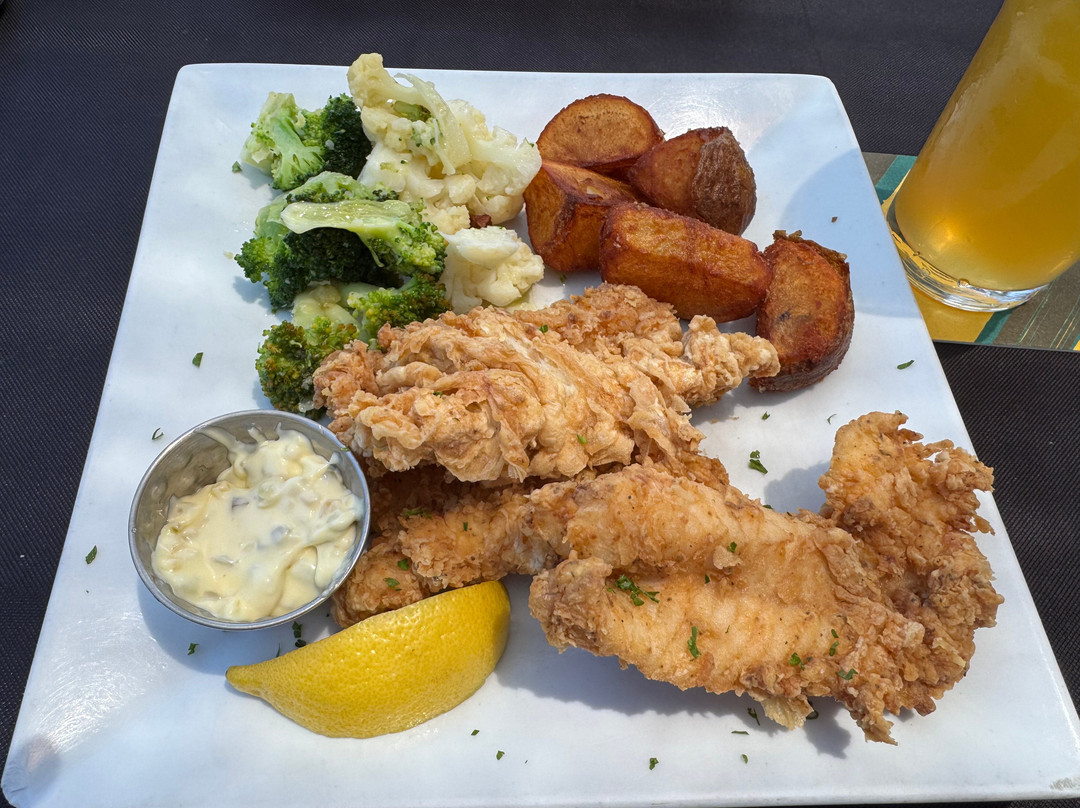 Bermuda Reef Fishing-百慕大必去景点