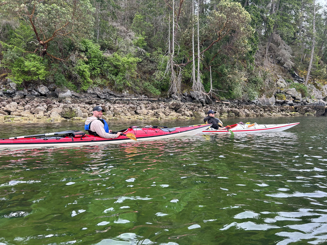 Halfmoon Sea Kayaks-Sechelt必去景点