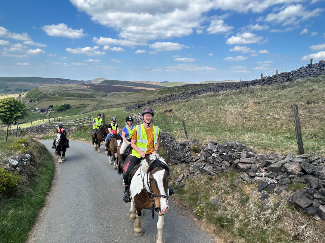 Northfield Farm Horse Riding and Trekking Centre景点图片
