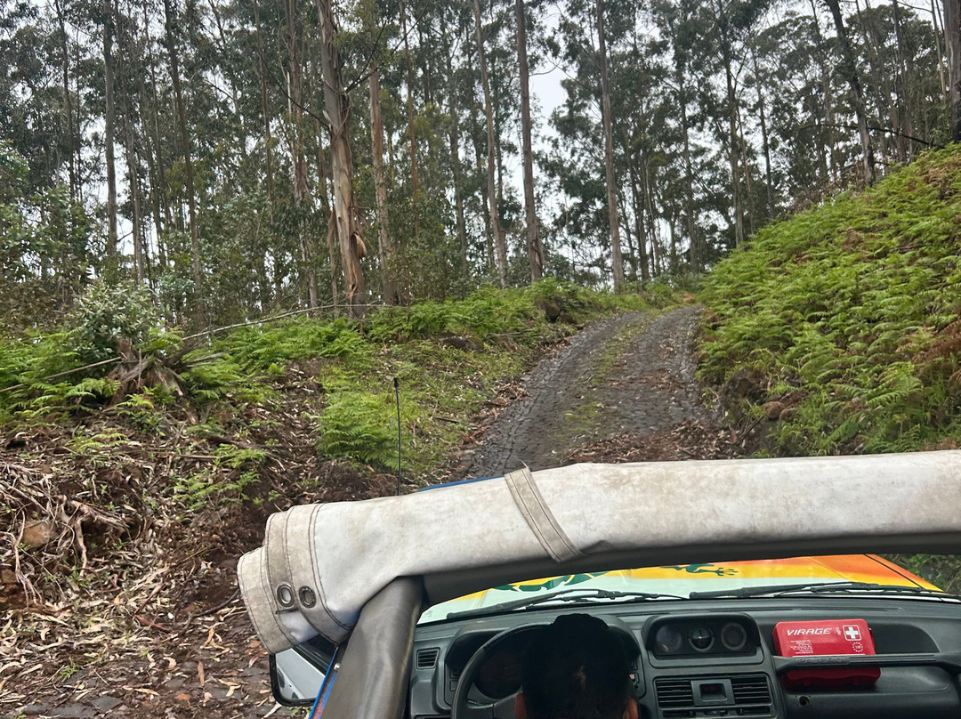 Madeira Friendly Guide-沙尔必去景点