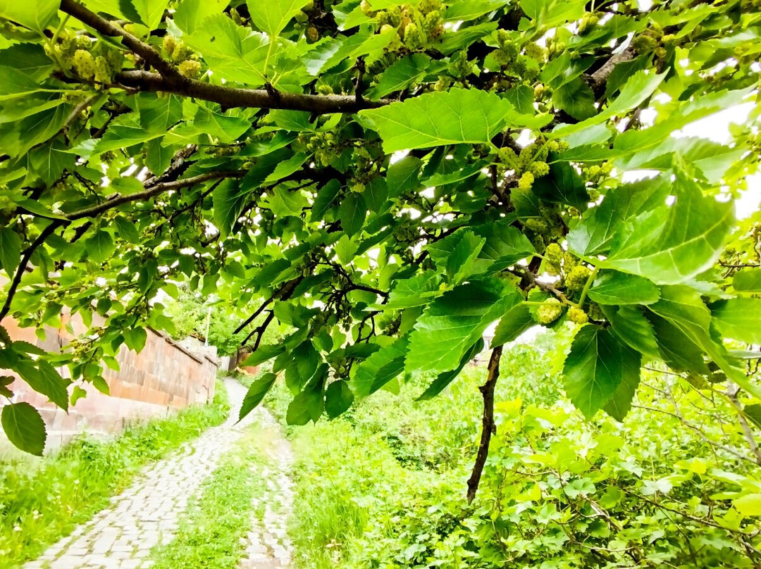 Grand Hotel Kapan主图