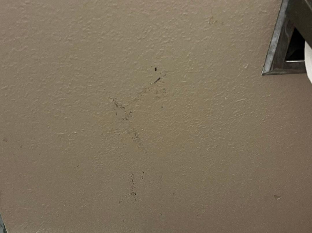 Holiday Inn & Suites Slidell - New Orleans Area By IHG主图