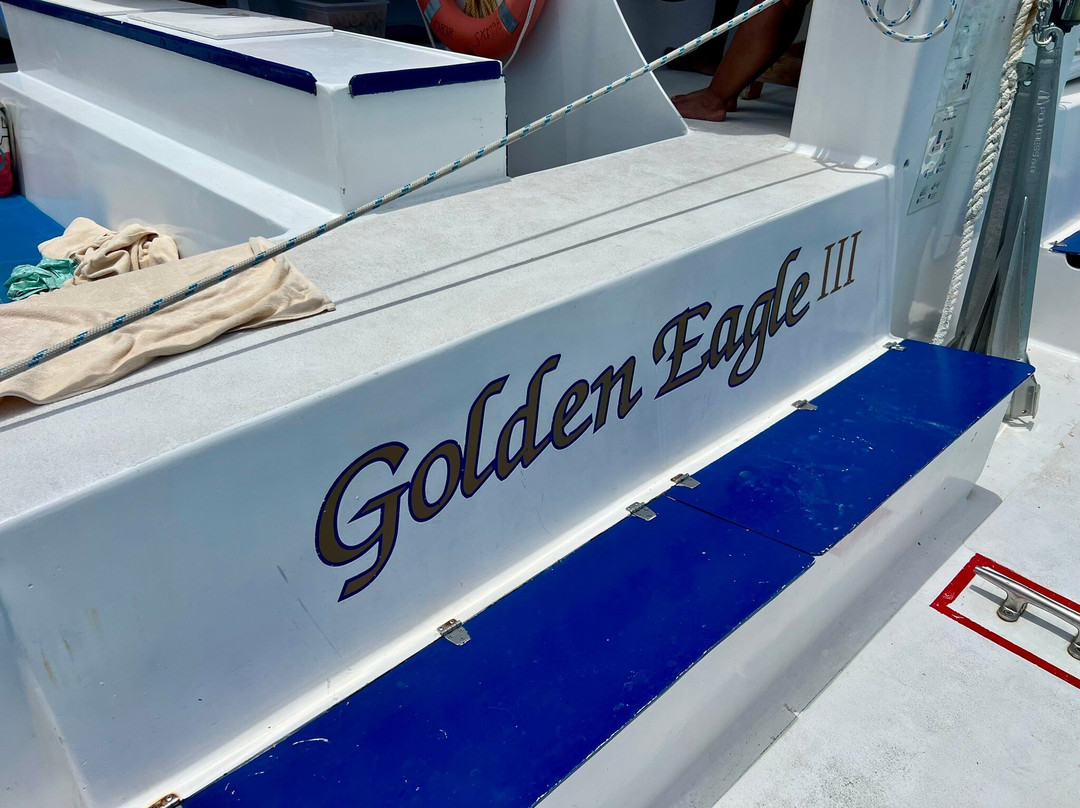 Golden Eagle Tour景点图片
