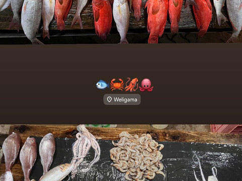 Avaa Travels-尼甘布必去景点