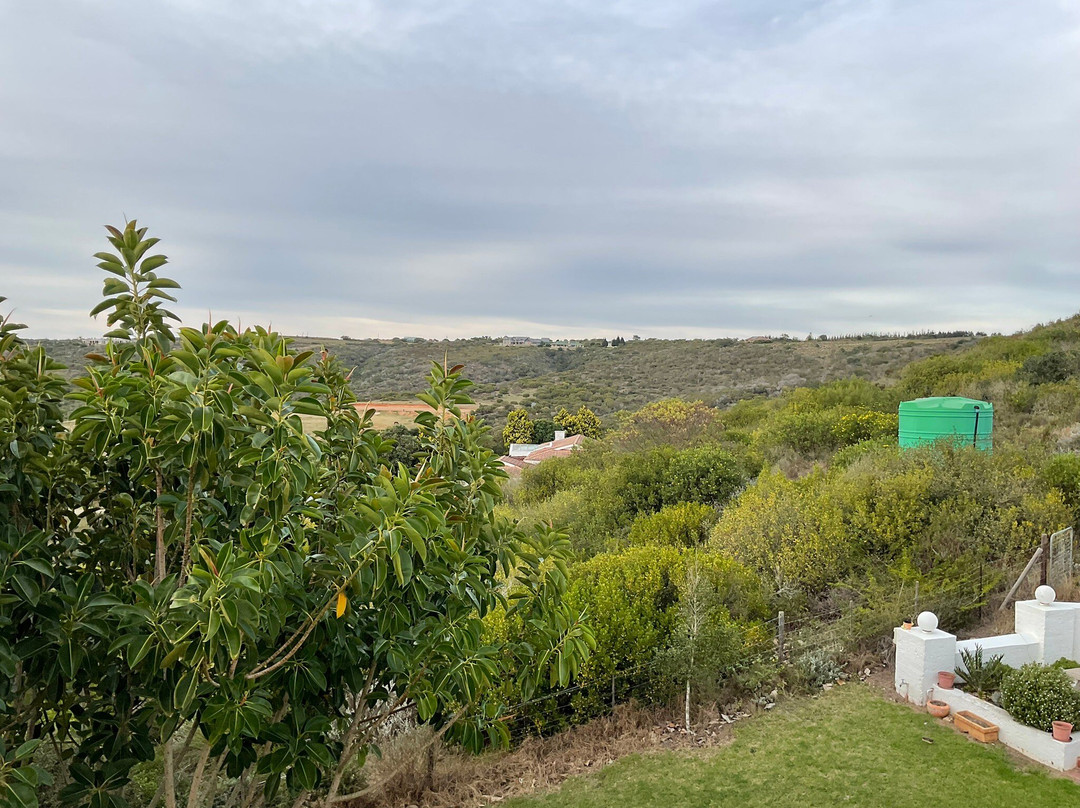 Fly me to the Moon Guest House主图