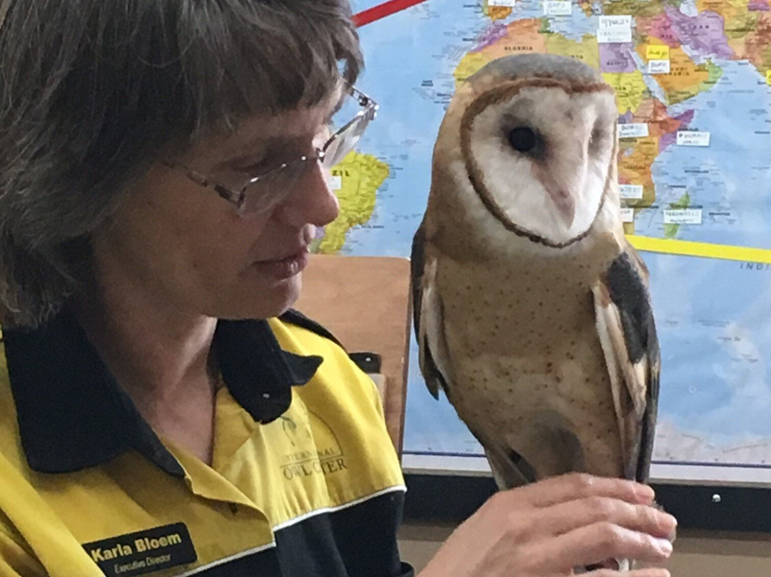 International Owl Center景点图片