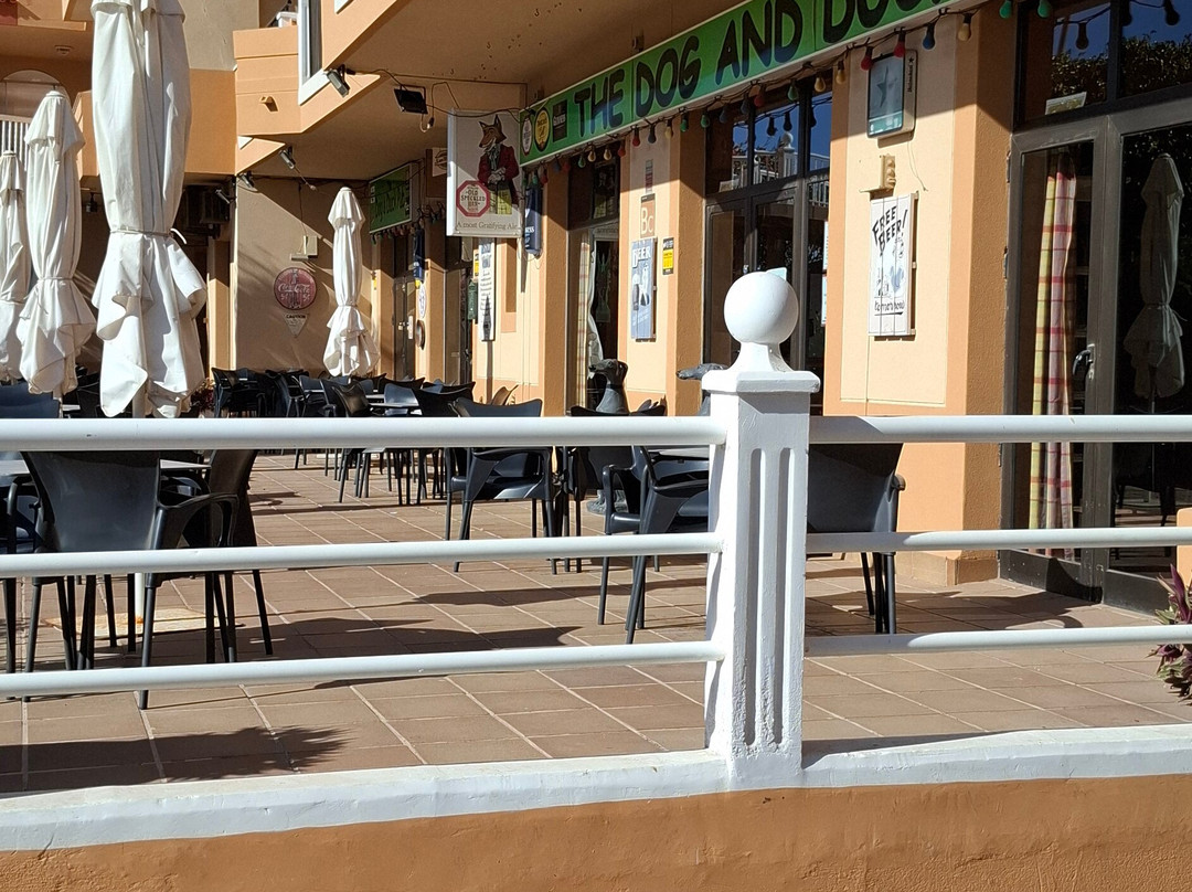The Dog & Duck Pub-Caleta de Fuste必去景点