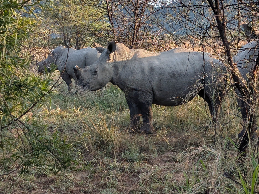 Luhambo Tours-开普敦中心区必去景点