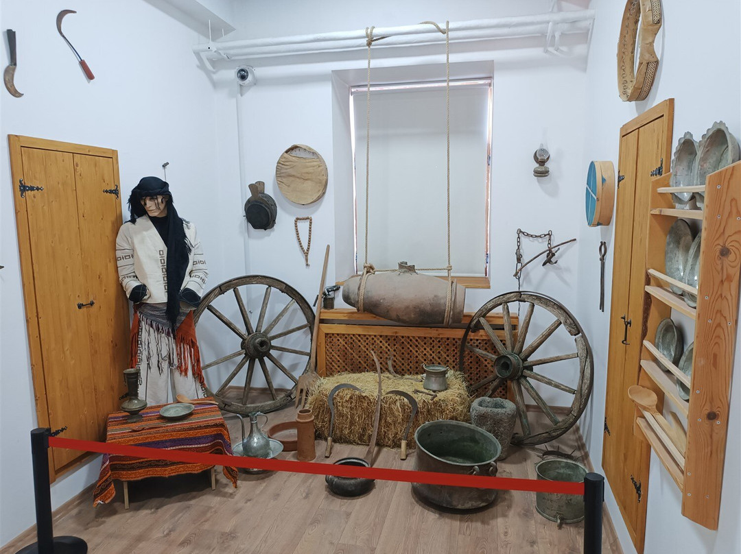 Mus Museum景点图片