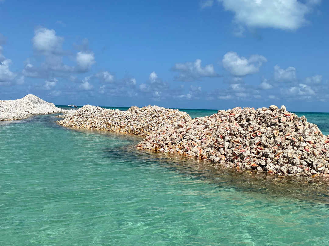 Horseshoe Reef-Anegada必去景点