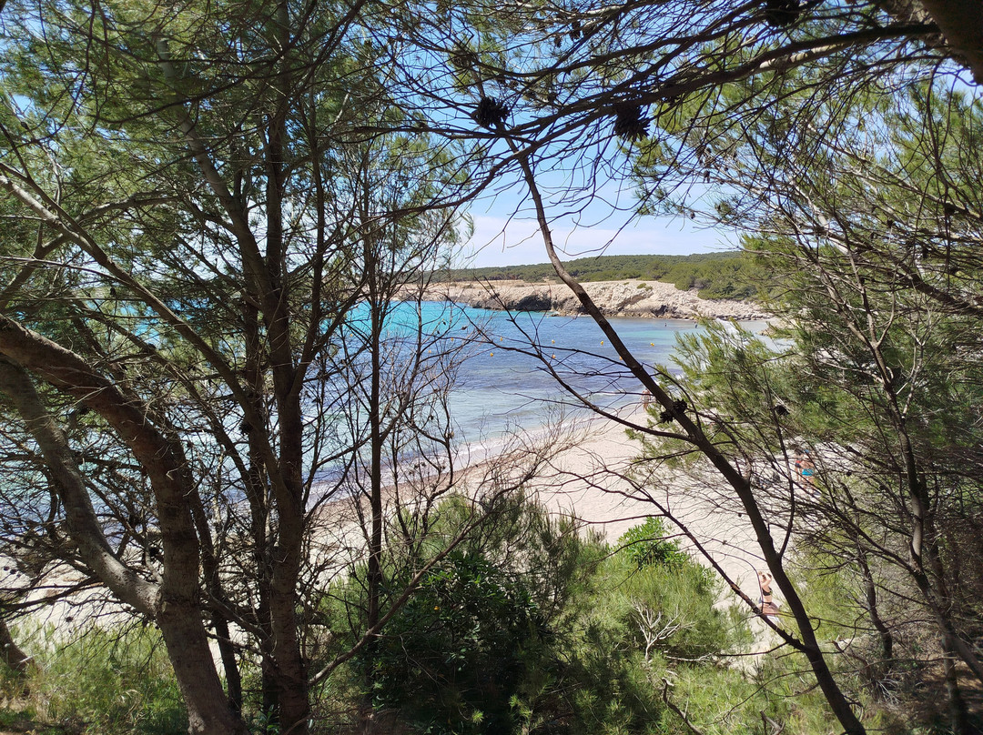 St. Croix Beach-马蒂格必去景点