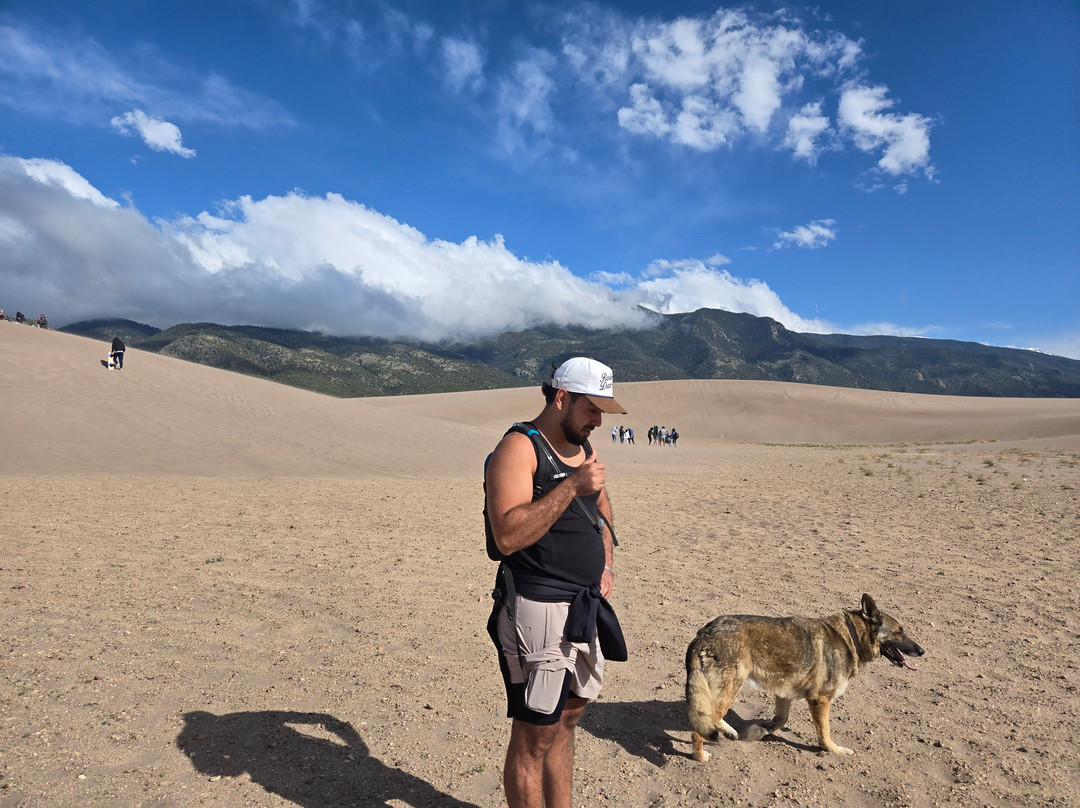 阿拉莫莎速8酒店主图