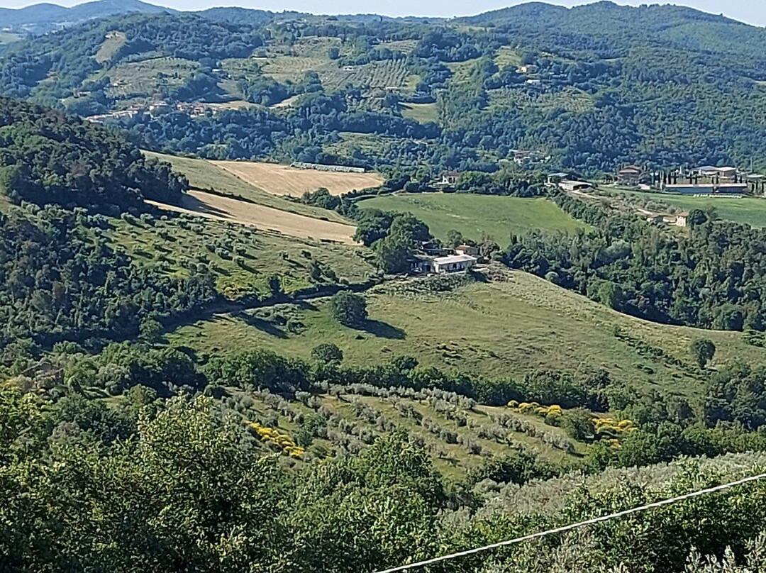 La Locanda Del Colle主图