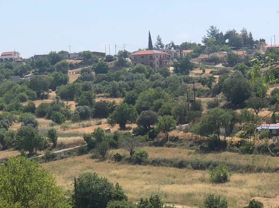 Cyprus Taste Tours - Larnaca-拉纳加必去景点