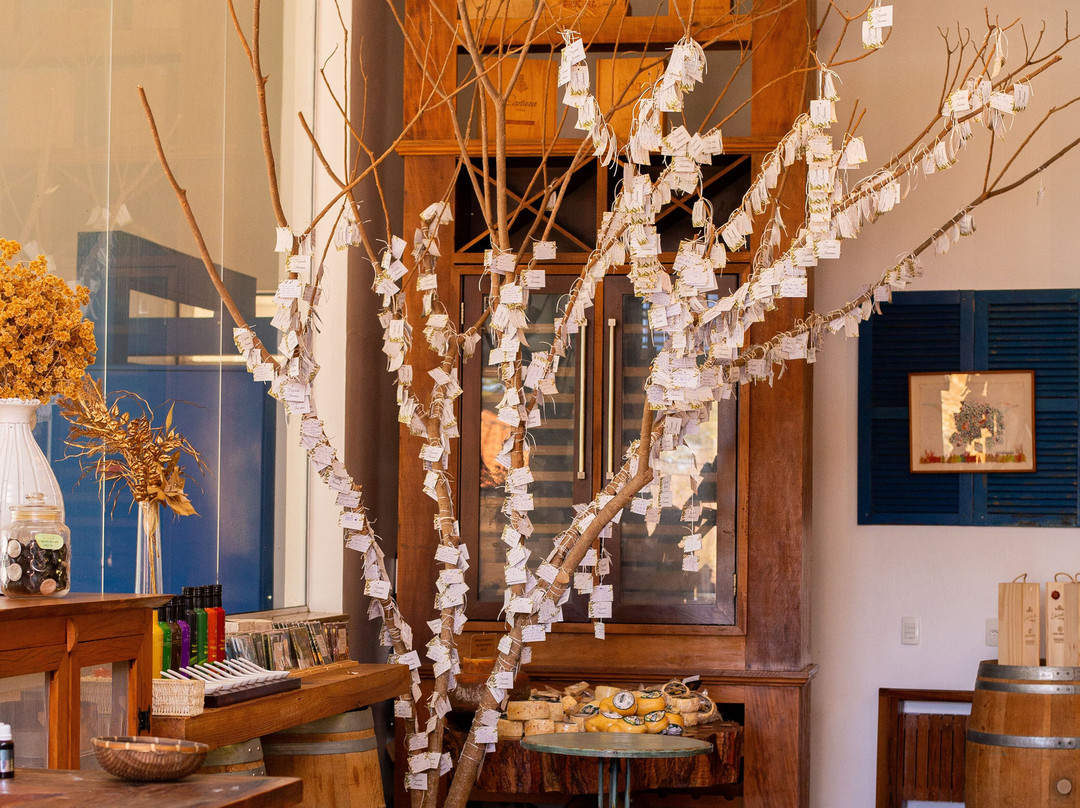 Fazenda Irarema-Sao Sebastiao da Grama必去景点