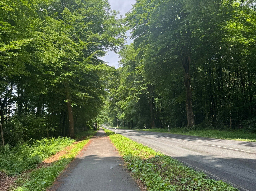 City Hotel Kleve主图