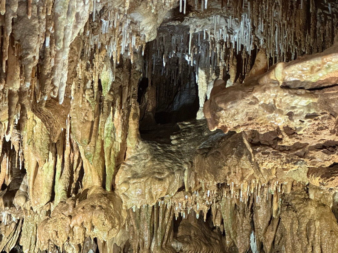 Jacob's Cave景点图片