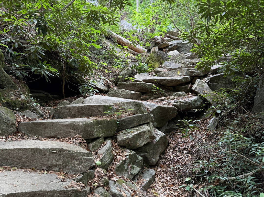 Wildcat Wayside Mountain Bridge Wilderness Area景点图片