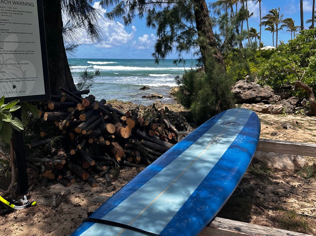 Go Nuts Hawaii-哈雷瓦必去景点