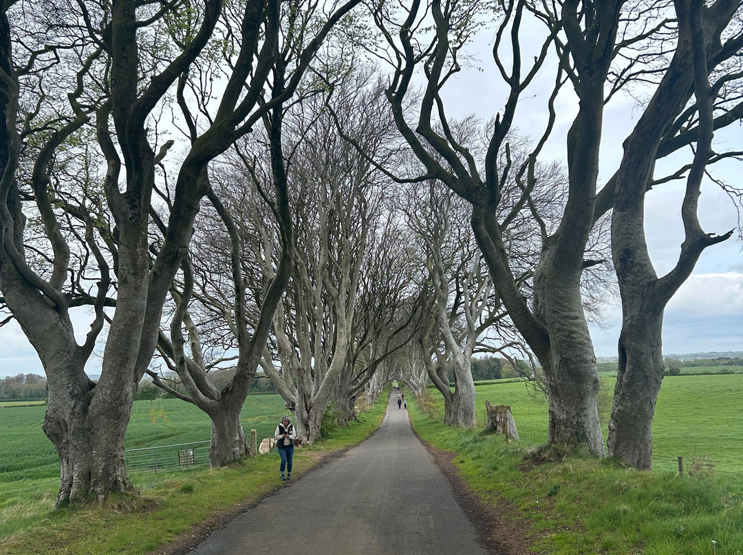 My Irish Guide景点图片