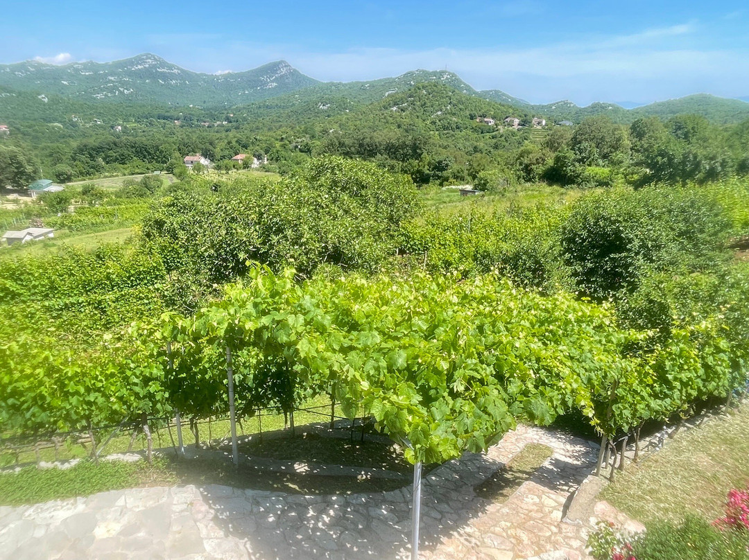 Mrkan Winery-Cetinje必去景点