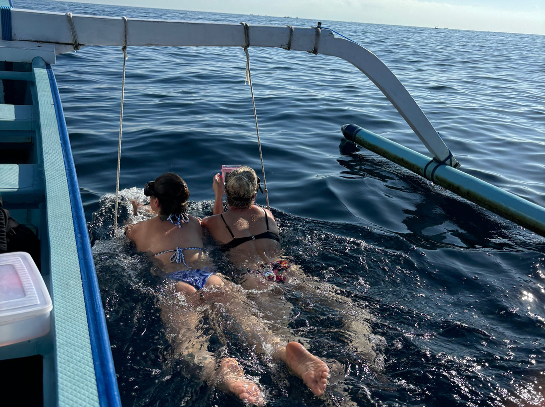 Lovina Dolphin Adventure景点图片