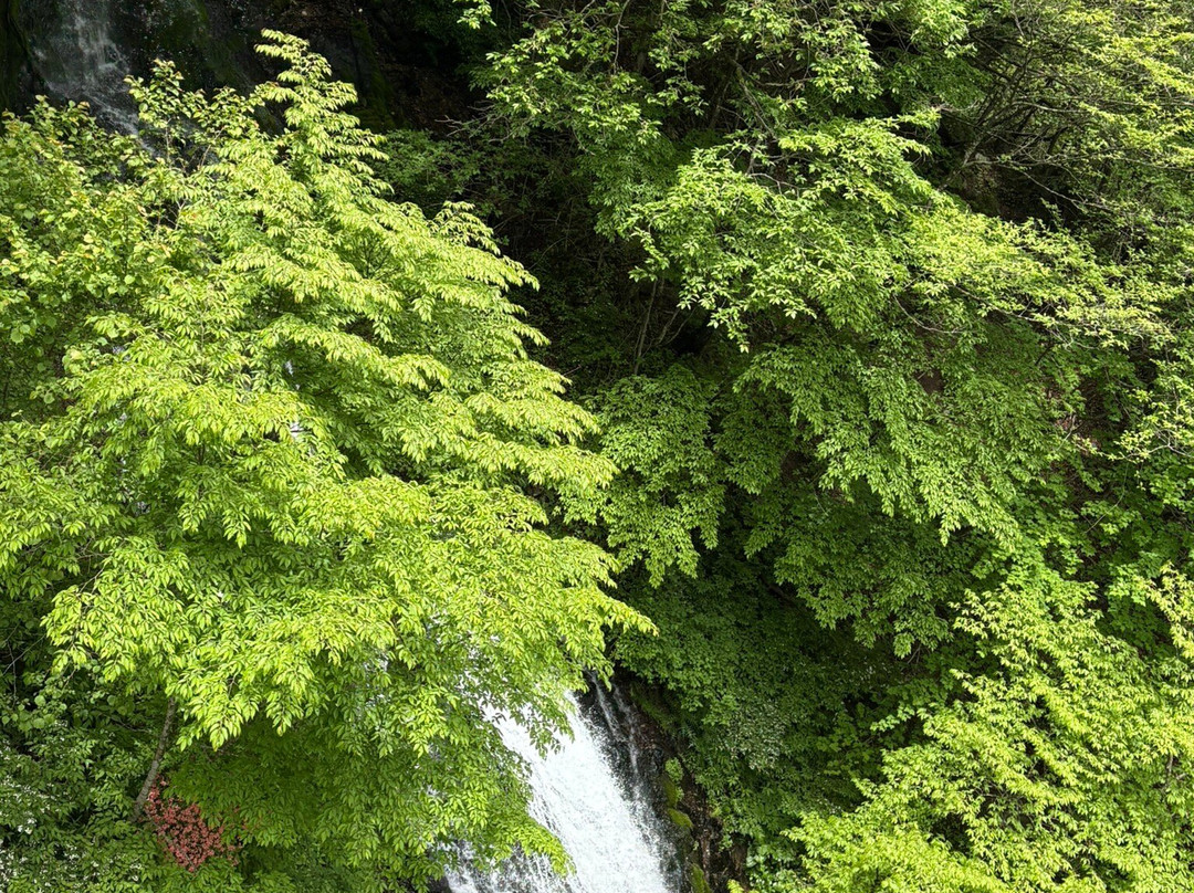 华严瀑布-日光市必去景点
